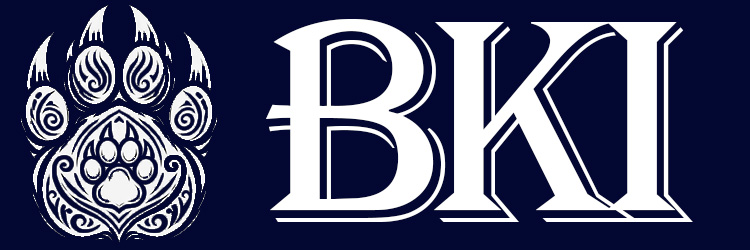 BKI Logo Banner